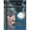 The Mote In Andrea's Eye by David Willson