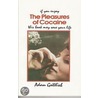 The Pleasures of Cocaine by Adam Gottlieb