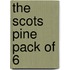 The Scots Pine Pack Of 6