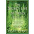 The Secret Life Of Trees