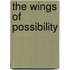 The Wings Of Possibility