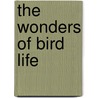 The Wonders Of Bird Life door John Lea