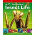 The World Of Insect Life