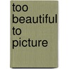 Too Beautiful to Picture door Elizabeth C. Mansfield