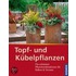 Topf- und Kübelpflanzen