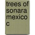 Trees Of Sonara Mexico C