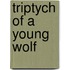 Triptych Of A Young Wolf