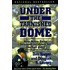 Under the Tarnished Dome