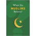 What Do Muslims Believe?