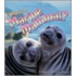 What Is A Marine Mammal?