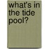 What's In The Tide Pool?