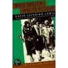 When Harlem Was in Vogue by David Levering Lewis