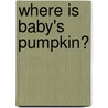Where Is Baby's Pumpkin? by Karen Katz