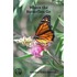 Where the Butterflies Go
