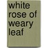 White Rose Of Weary Leaf