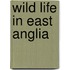 Wild Life In East Anglia