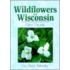 Wildflowers of Wisconsin