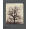 William Henry Fox Talbot door Geoffrey Batchen