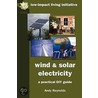Wind & Solar Electricity door Andy Reynolds