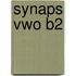 Synaps vwo B2