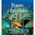 Wrasses And Parrotfishes