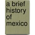 A Brief History of Mexico