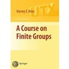 A Course on Finite Groups door Harvey E. Rose