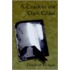 A Crack In The Dark Glass