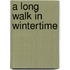 A Long Walk In Wintertime