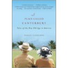 A Place Called Canterbury by Dudley Clendinen