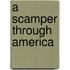 A Scamper Through America