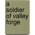 A Soldier Of Valley Forge