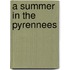 A Summer In The Pyrennees