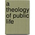 A Theology Of Public Life