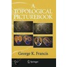 A Topological Pictur by George K. Francis