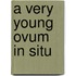 A Very Young Ovum In Situ