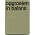 Opgroeien in balans