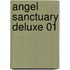 Angel Sanctuary Deluxe 01