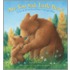 Are You Sad, Little Bear?