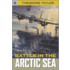 Battle in the Arctic Seas