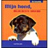 Mijn hond, mijn beste vriend