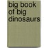 Big Book Of Big Dinosaurs