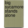 Big Sycamore Stands Alone by Ian W. Record