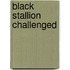 Black Stallion Challenged