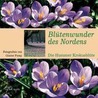 Blütenwunder des Nordens by Günter Pump