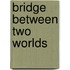 Bridge Between Two Worlds