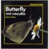 Butterfly And Caterpillar