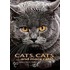 Cats, Cats And More Cats!