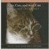 Cats, Cats, And More Cats