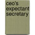 Ceo's Expectant Secretary